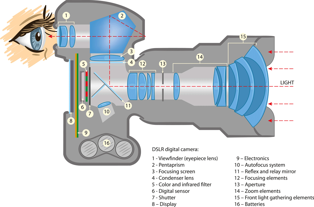 Nikon Camera Diagram